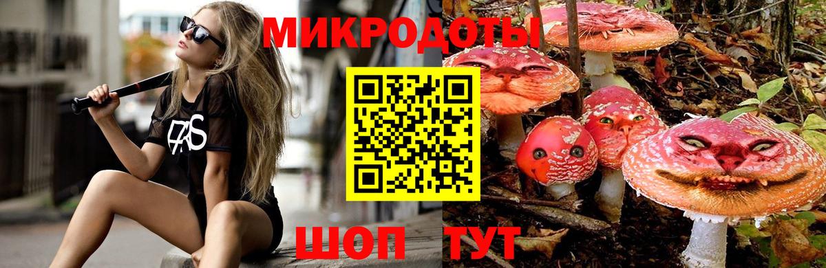 Галлюциногенные грибы мицелий  Вход с VPN  купить наркотик  Шебекино 