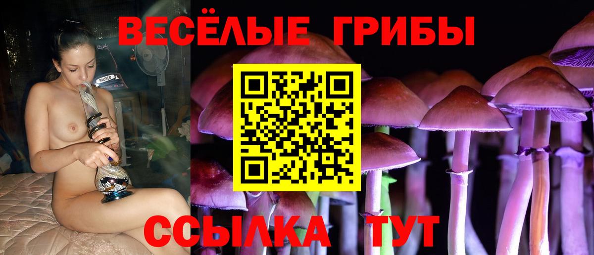 Псилоцибиновые грибы GOLDEN TEACHER Шебекино